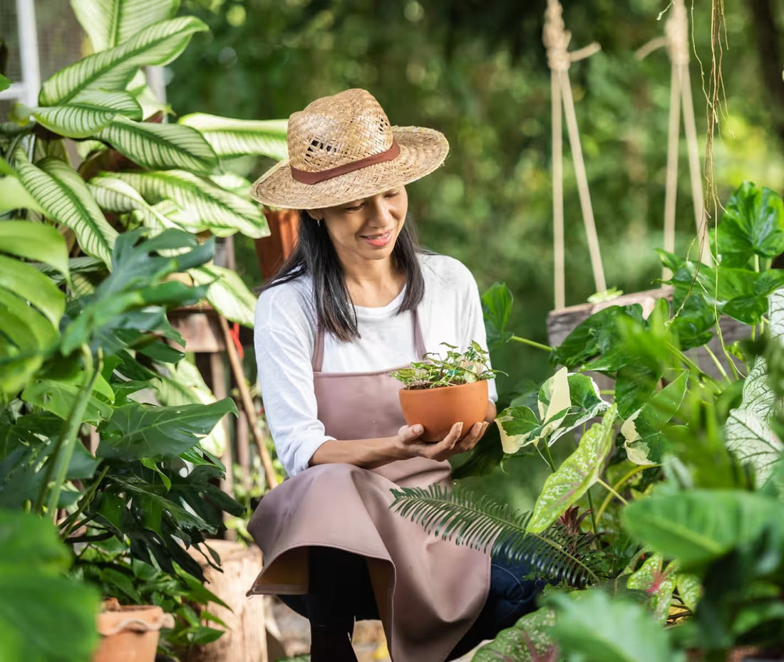 Potting Mix - more than just 'dirt'