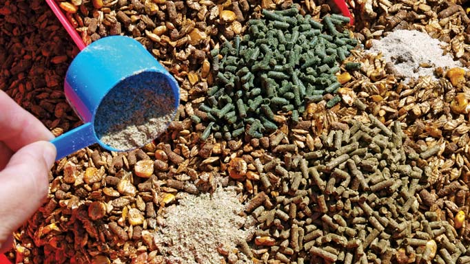 Horse Supplements