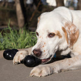 KONG DOG EXTREME GOODIE BONE - LARGE
