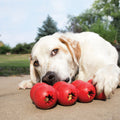 KONG DOG GOODIE RIBBON - MEDIUM