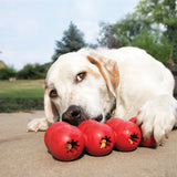 KONG DOG GOODIE RIBBON - MEDIUM