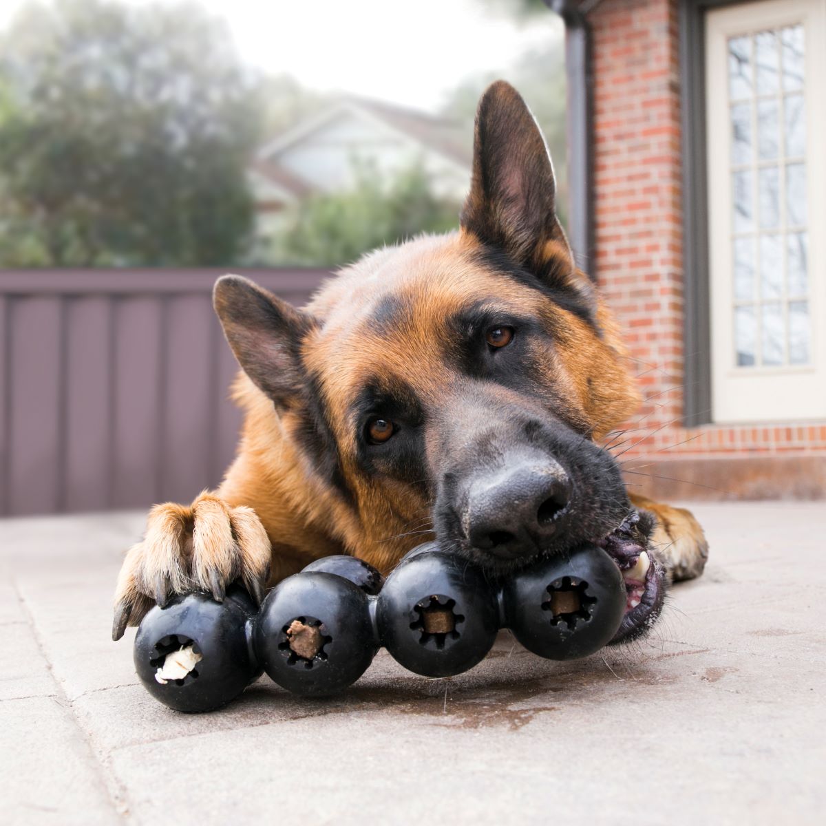 KONG DOG EXTREME GOODIE RIBBON - MEDIUM