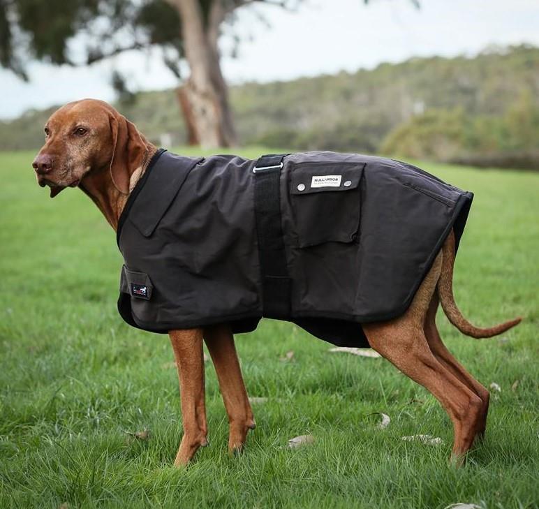 DOG RUG NULLARBOR OILSKIN [SZ:35CM]