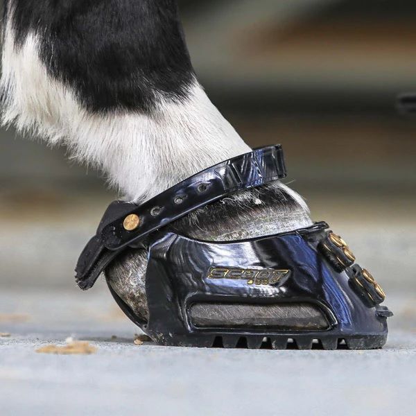 SCOOT BOOT REGULAR PAIR - 3