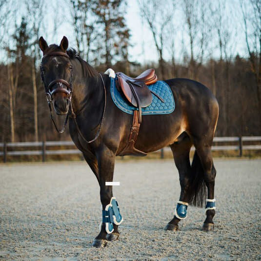 Horze Claremont Ap Saddlepad - Legion Blue