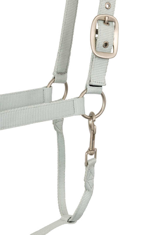 HALTER & LEAD SET HORZE ROSE TONIQUE  - NORTHERN DROPLET [SZ:PONY]