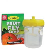 Fruit Fly Trap Searles