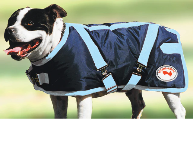 Supreme Dog Rug Navy/baby Blue