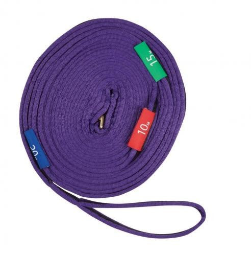 Lunge Lead With Circle Markers - Blue