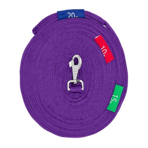 Lunge Lead With Circle Markers - Purple