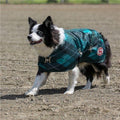 SUPREME DOG RUG - EMERALD DIAMOND